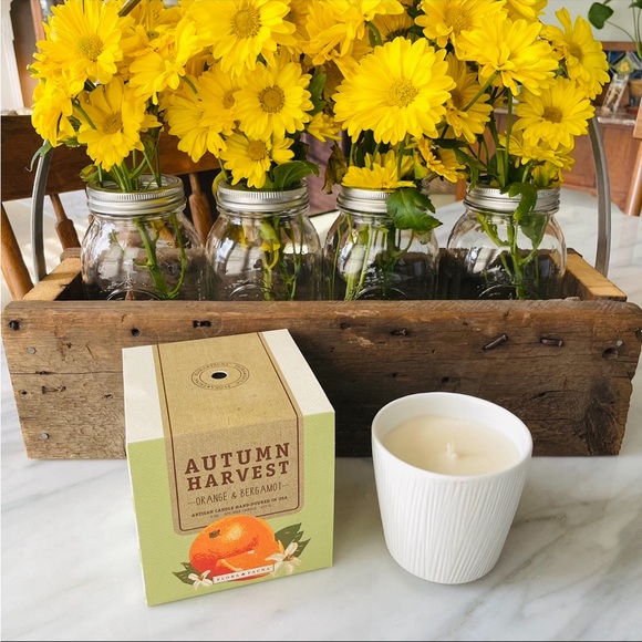 Anthropologie•NIB•Flora & Fauna•Hand-Poured Soy Wax Candle•9oz•Orange+Bergamot - Picture 13 of 16